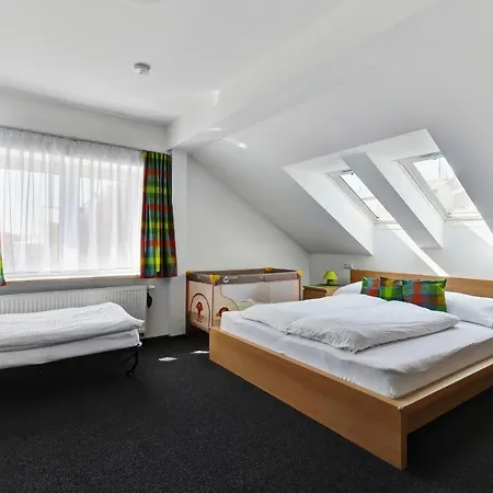 Ceska Апартаменты Франтишкови-Лазне