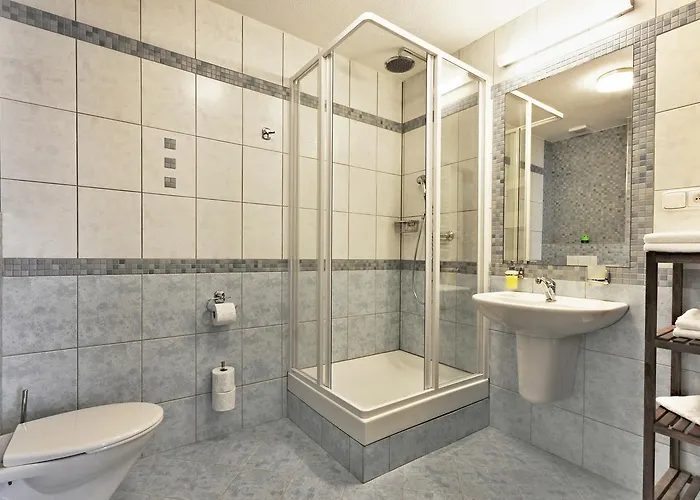 Ceska Apartment Františkovy Lázně