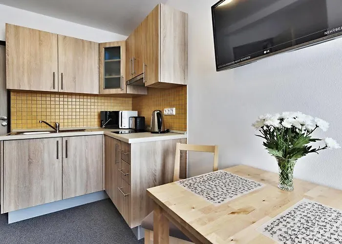 Apartmán Ceska Františkovy Lázně